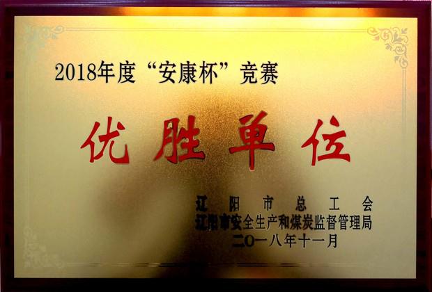 J9集团国际站集团荣获“2018年度安康杯较量优胜单元”